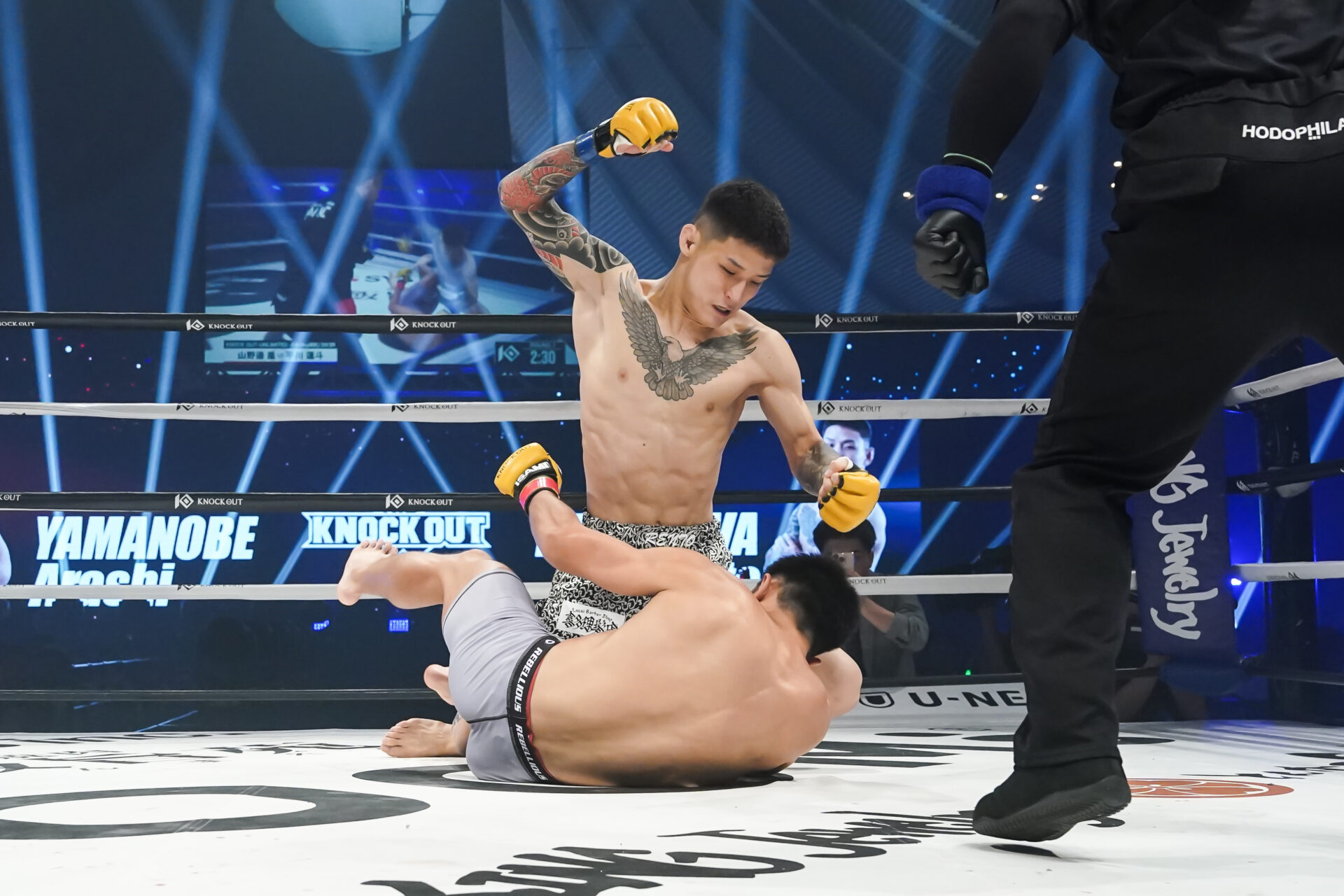 THE KNOCK OUT FIGHTER.6｜平川蓮斗 インタビュー公開！