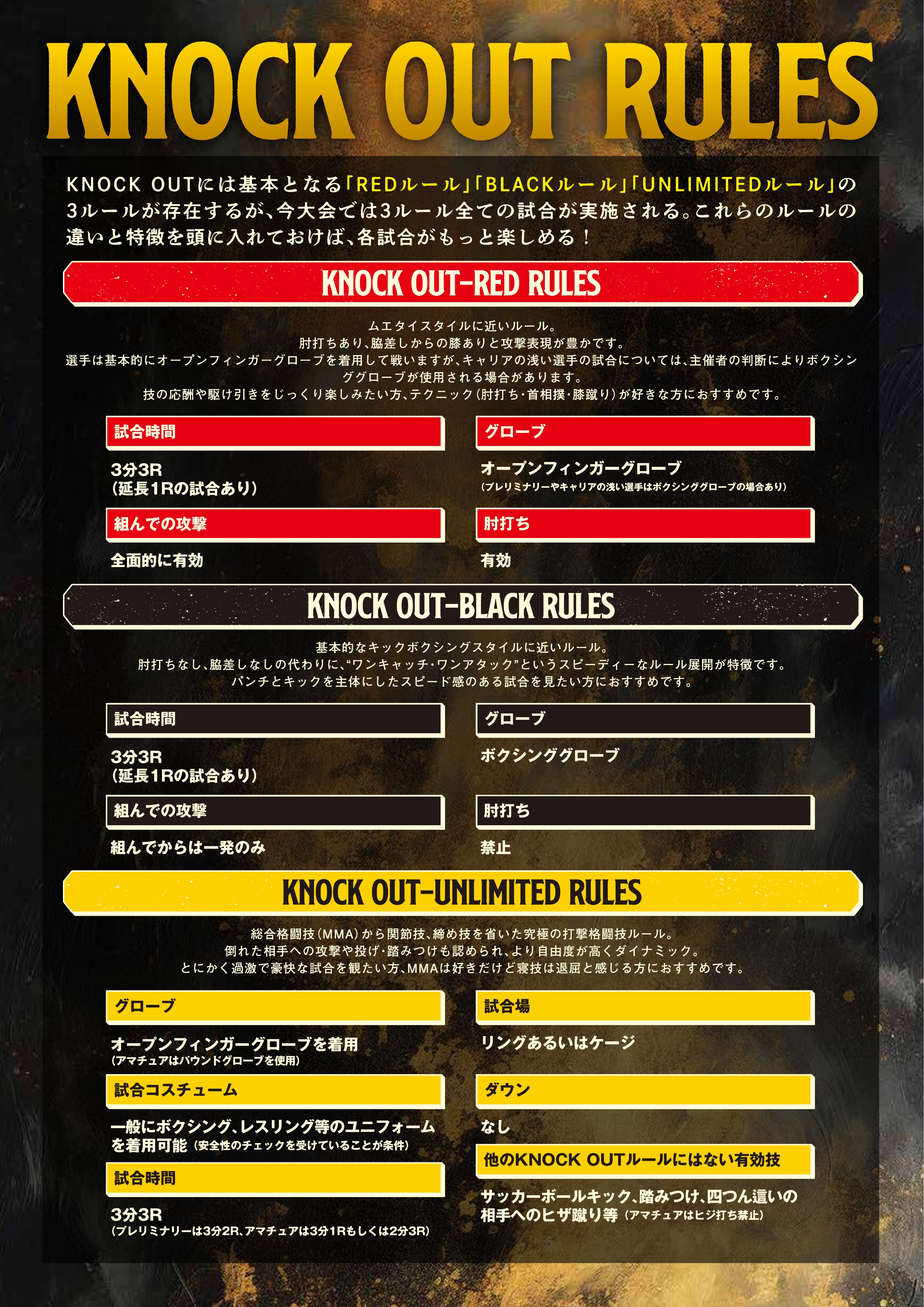 パンフレット 12ページ
