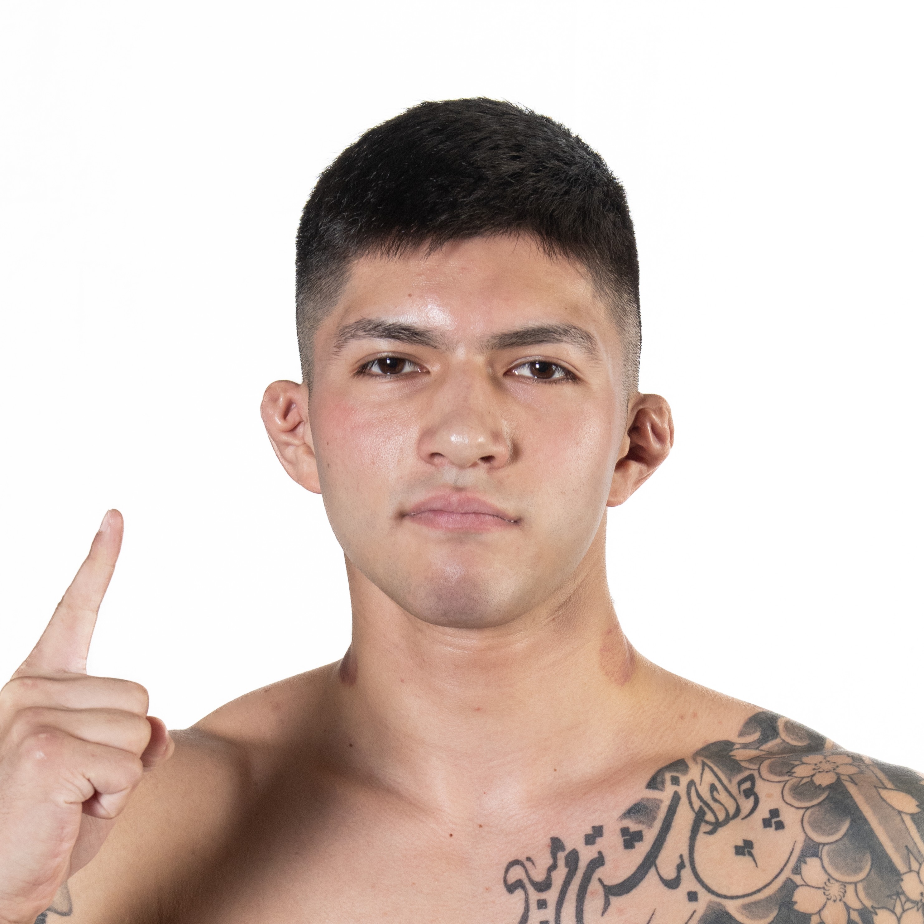 テヘランカトウ